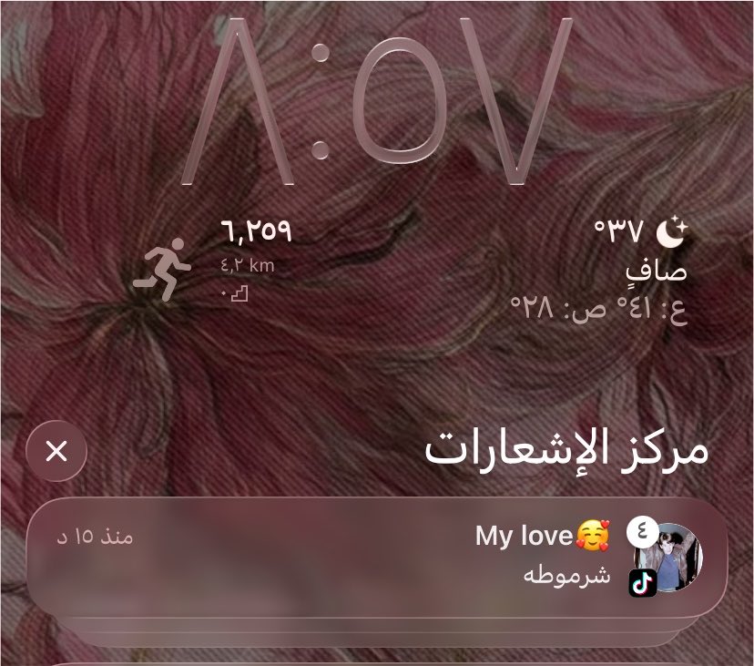 DodNeedUsername's tweet photo. هذا وانا مسميتها حبي🤬😡 https://t.co/dMKl224dhj