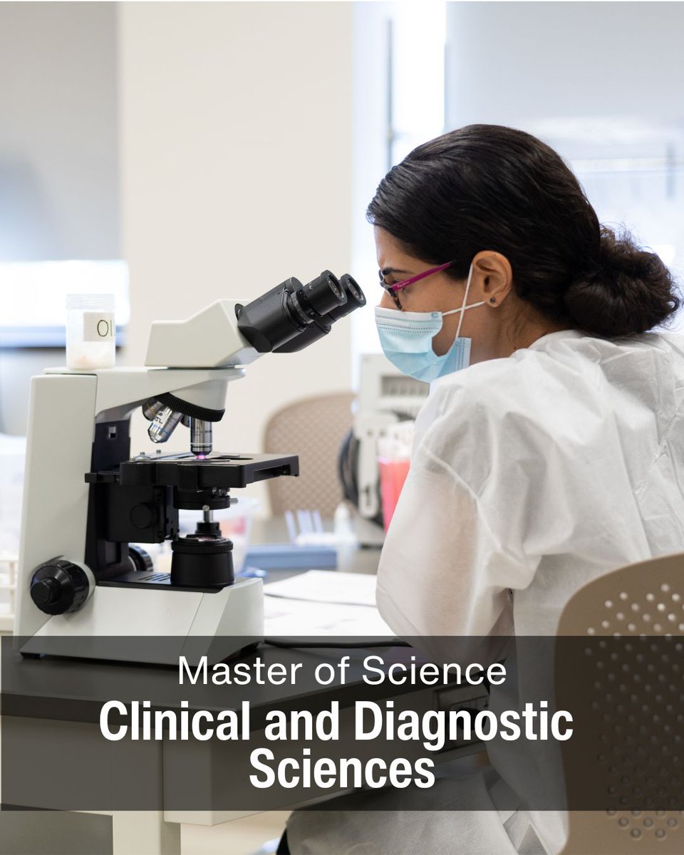 OaklanduSHS's tweet photo. Are you looking to advance as a laboratory or diagnostic scientist, or augment your application to professional health programs? Pursue a Master of Science in #ClinicalAndDiagnosticSciences. 👉https://t.co/iovsp05L8U

#PreMed #PreProfessional #HealthCare #GradSchool https://t.co/SaoaUE8Q8v