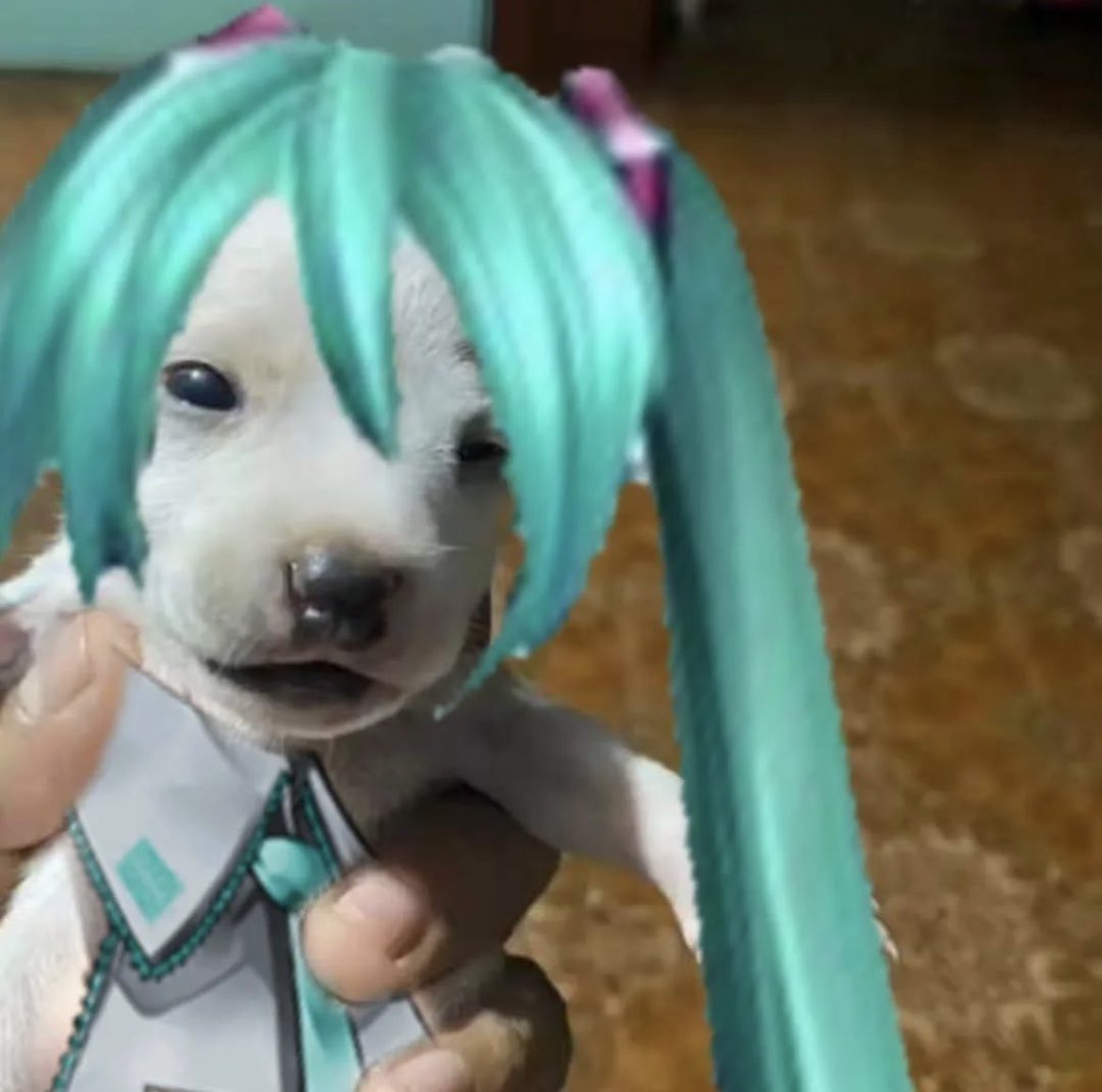 HatsuneMiku's tweet photo. https://t.co/IBQptZCf0Q