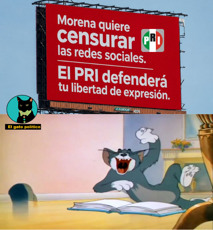 El gato político tweet media