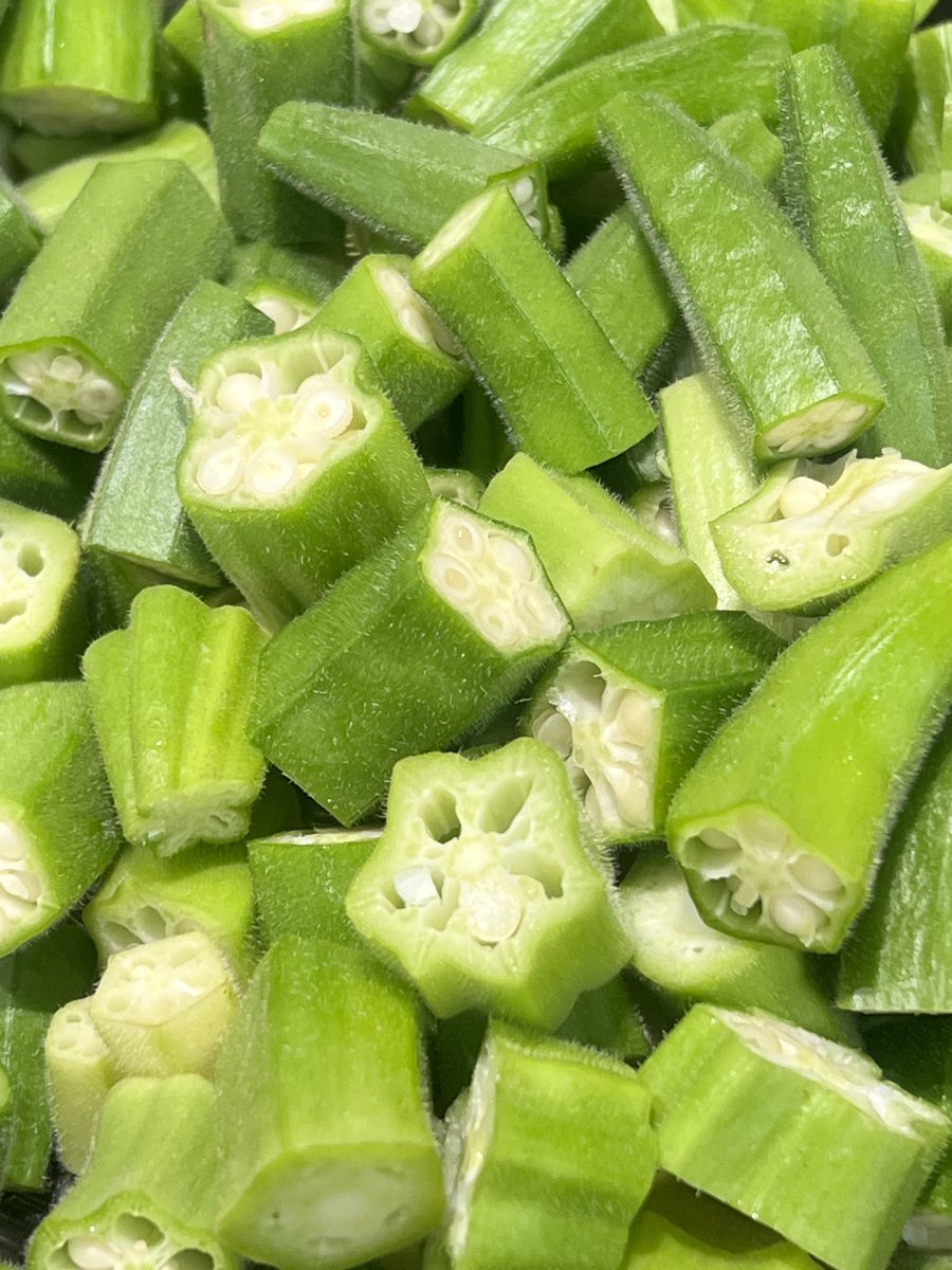 okra_kale's tweet photo. Okra my love! 🌱💚 https://t.co/I9XY6a5Olf