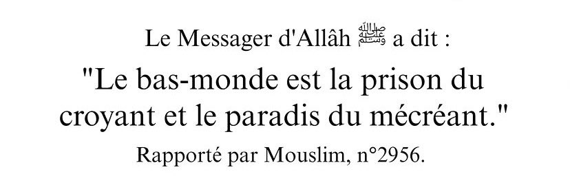 msinaa_s's tweet photo. CE BAS MONDE https://t.co/eBGxDjvzZE