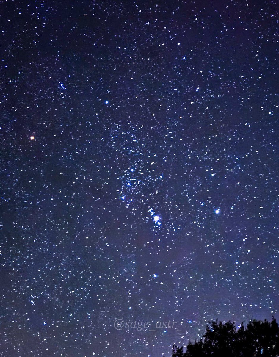 sage_astr's tweet photo. summer night skies vs winter night skies https://t.co/BmFRPkYrcz