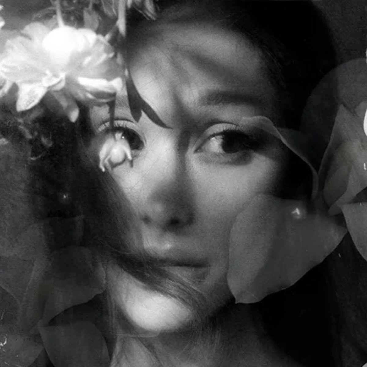 chartsariana's tweet photo. .@TeamAriana, please give us one more digital edition of “petal” on Ariana’s official store and iTunes tonight!

We know there’s a hidden gem in the vault. Let us show Ariana how much we love her and help this incredible project earn the biggest pure sales debut of her career. https://t.co/h5NmTI7Ibu