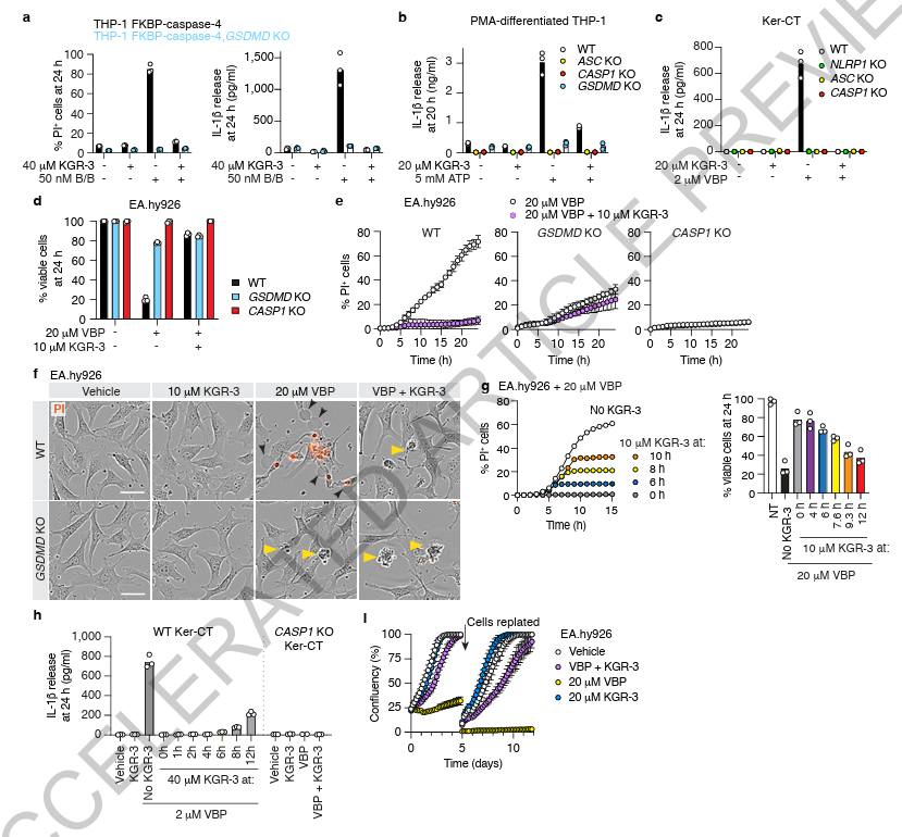 LabWaggoner's tweet photo. Gasdermin D-mediated delivery of caspase inhibitors to suppress pyroptosis @Nature @dixitvishva @genentech  https://t.co/bnwqWNWJa8 https://t.co/j3AnR8bmIG