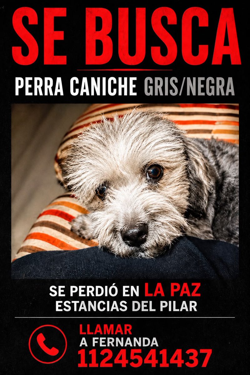 patripeyrou's tweet photo. Rt
Recompensa https://t.co/gZpIM8e1Ni