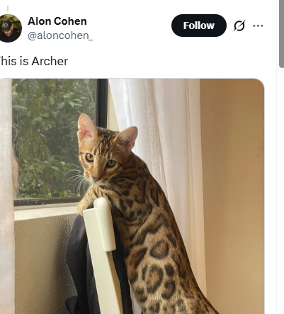 mistraxbt's tweet photo. I don’t understand why we haven’t sent this yet.

Alon Cohen showed us his cat, one of our absolute favourites. They literally haven’t made a coin in its honour yet.

With 80M Catecoin, this might be the best beta to send.

https://t.co/ZY7UgIL7L6 https://t.co/SIngNImLI9