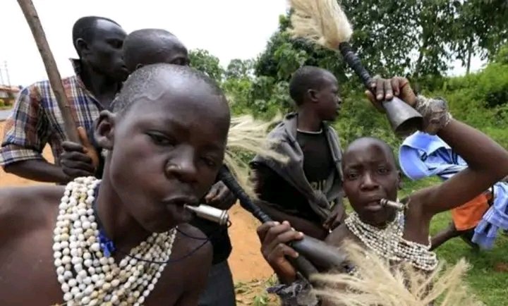 AaronWanyama2's tweet photo. THE LUHYA CULTURE: It's the circumcision season in western kenya. During this season they compose songs according to trending topics both locally and nationwide. 
Here are some of the verses I have heard recently. https://t.co/VIpxRNJ0g0