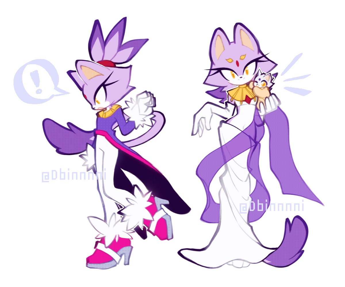 Dbinnnni's tweet photo. 💜🤍
#blazethecat #silvaze #sth https://t.co/vWbmVVhYf1