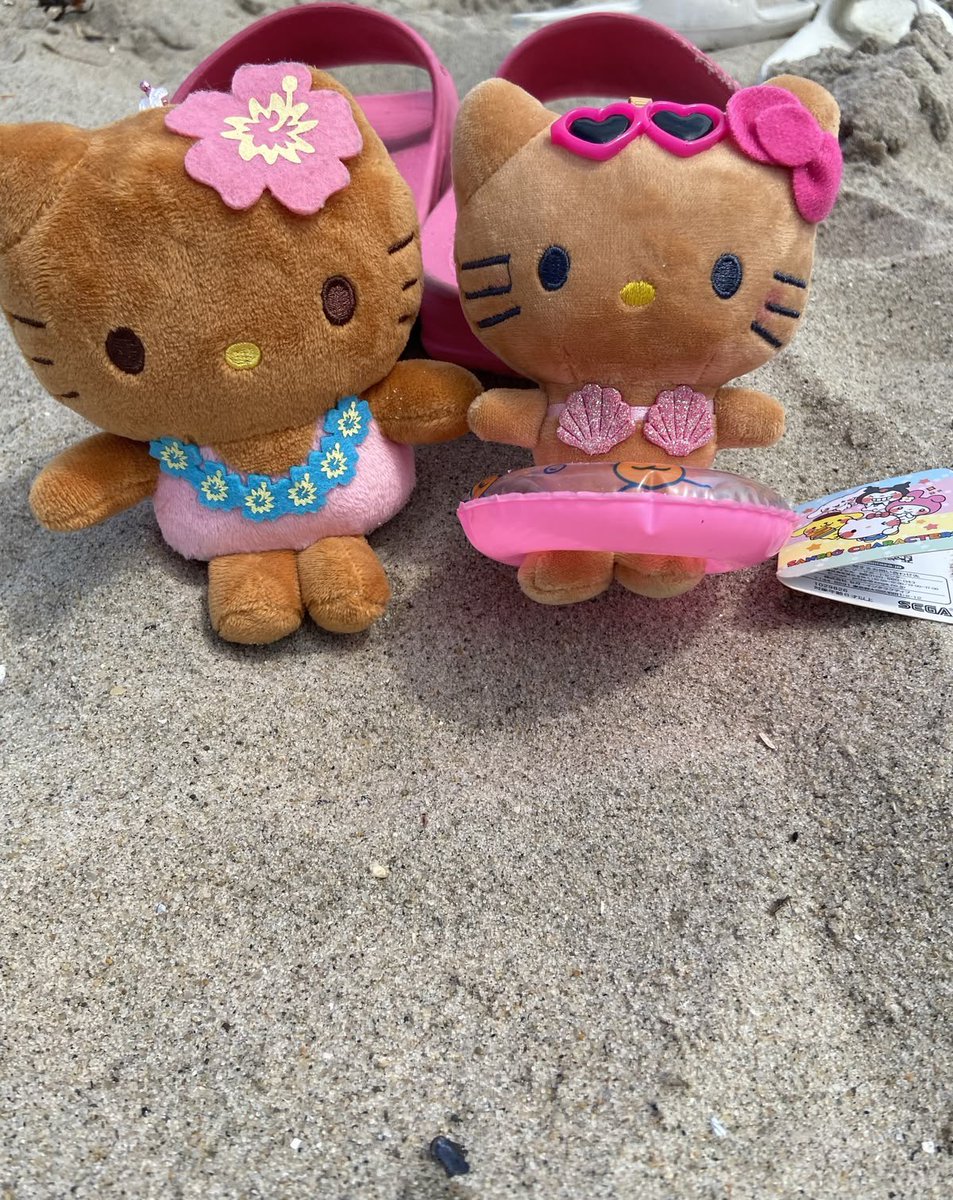 bbambiyu's tweet photo. posso servir bikini lesbico com a hello kitty na praia ? https://t.co/cbTG18HmPs