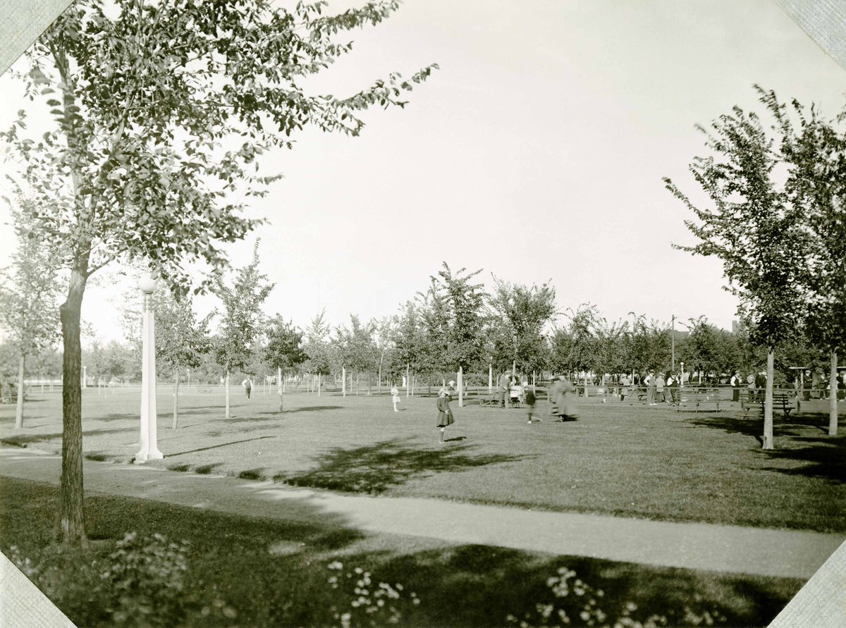 TreesWinnipeg's tweet photo. Join us Wednesday, August 5 at 6:30 pm for our walk of Vimy Ridge Memorial Park!  Meet at the community garden space on the south side. https://t.co/PMKpXWr9zF