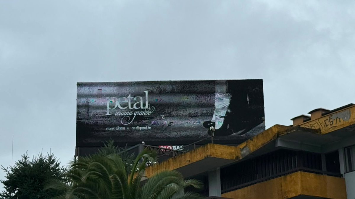 Ariana_Chile's tweet photo. petal ꕤ 。Santiago &amp; Concepción ,Chile 🇨🇱

@TeamAriana @UMusicChile https://t.co/pVjlPKlcf3