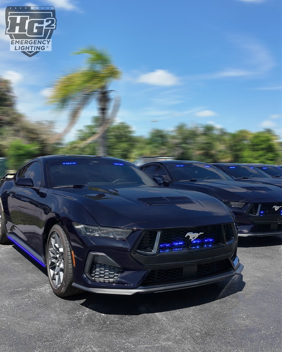 HG2Lighting's tweet photo. Not your average herd of mustangs.😉💙🚔
2026 Ford Mustang
#ford #PoliceLights #policevehicle #BackTheBlue #hg2emergencylighting #copscars #policecars #emergencyvehicles #safetyontheroad #moveoverlaw #usamade #madeinusa #usamanufacture #bluelivesmatter #policepackage https://t.co/4s7JHyedH9