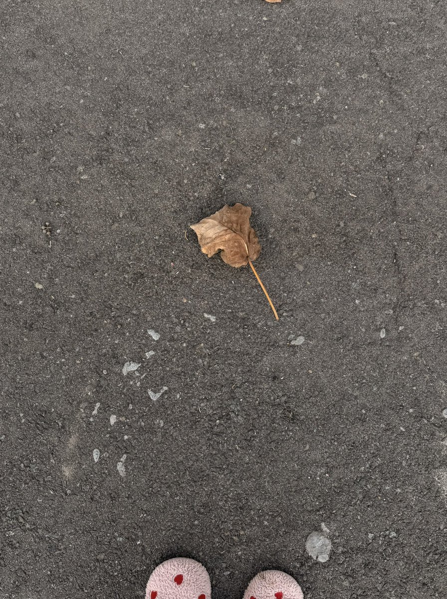 callittmagic's tweet photo. “Time held me green and dying” https://t.co/gg3Ix9aKmr