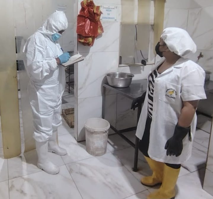 AgrocalidadZ5's tweet photo. ✅ | #CuidamosLoQueConsumes

En #Bolívar, verificamos el cumplimiento de las atribuciones, deberes y responsabilidades de médicos veterinarios autorizados en faenadoras artesanales de aves, constatando su desempeño con base a la norma vigente.

#ProtegemosElAgroEcuatoriano 💪🏽 https://t.co/XXO9GOsROi