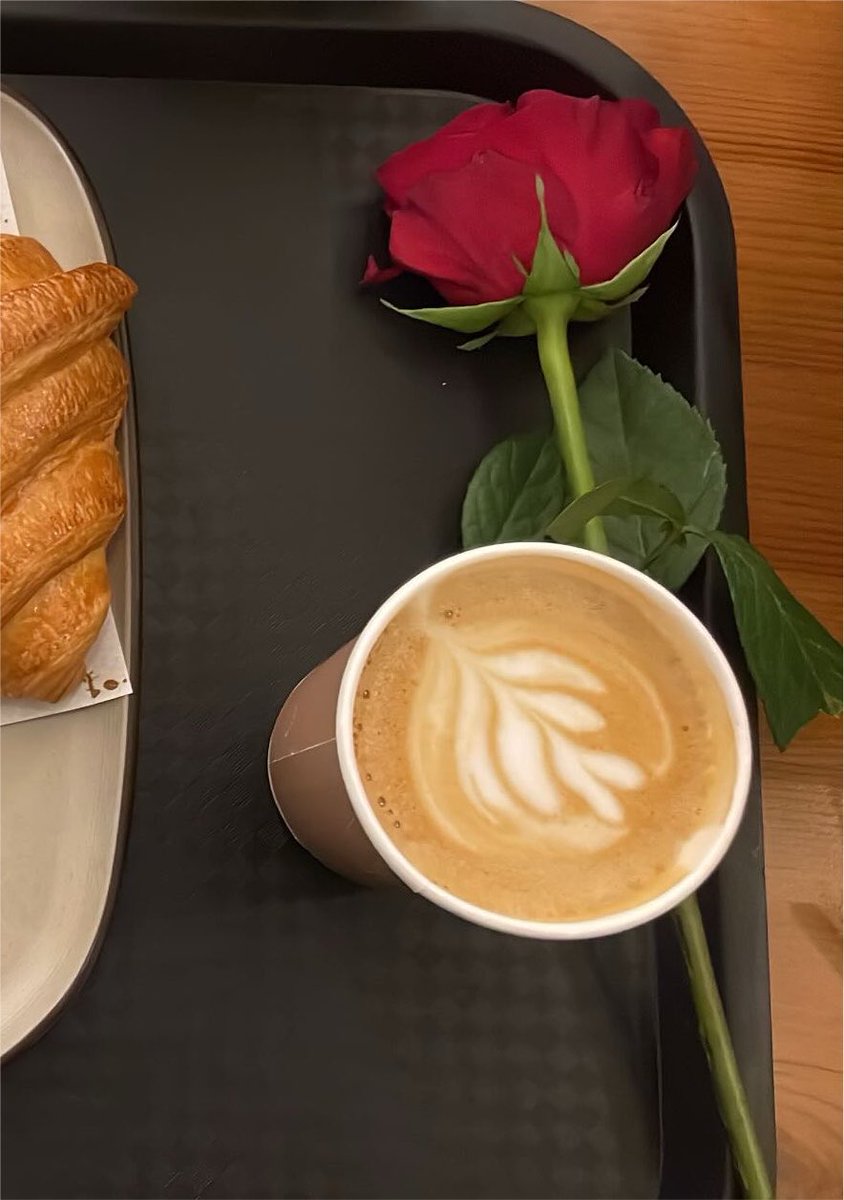 rohan_F117's tweet photo. ملكة الروز 🌹✨ https://t.co/uwwCY0IZ59