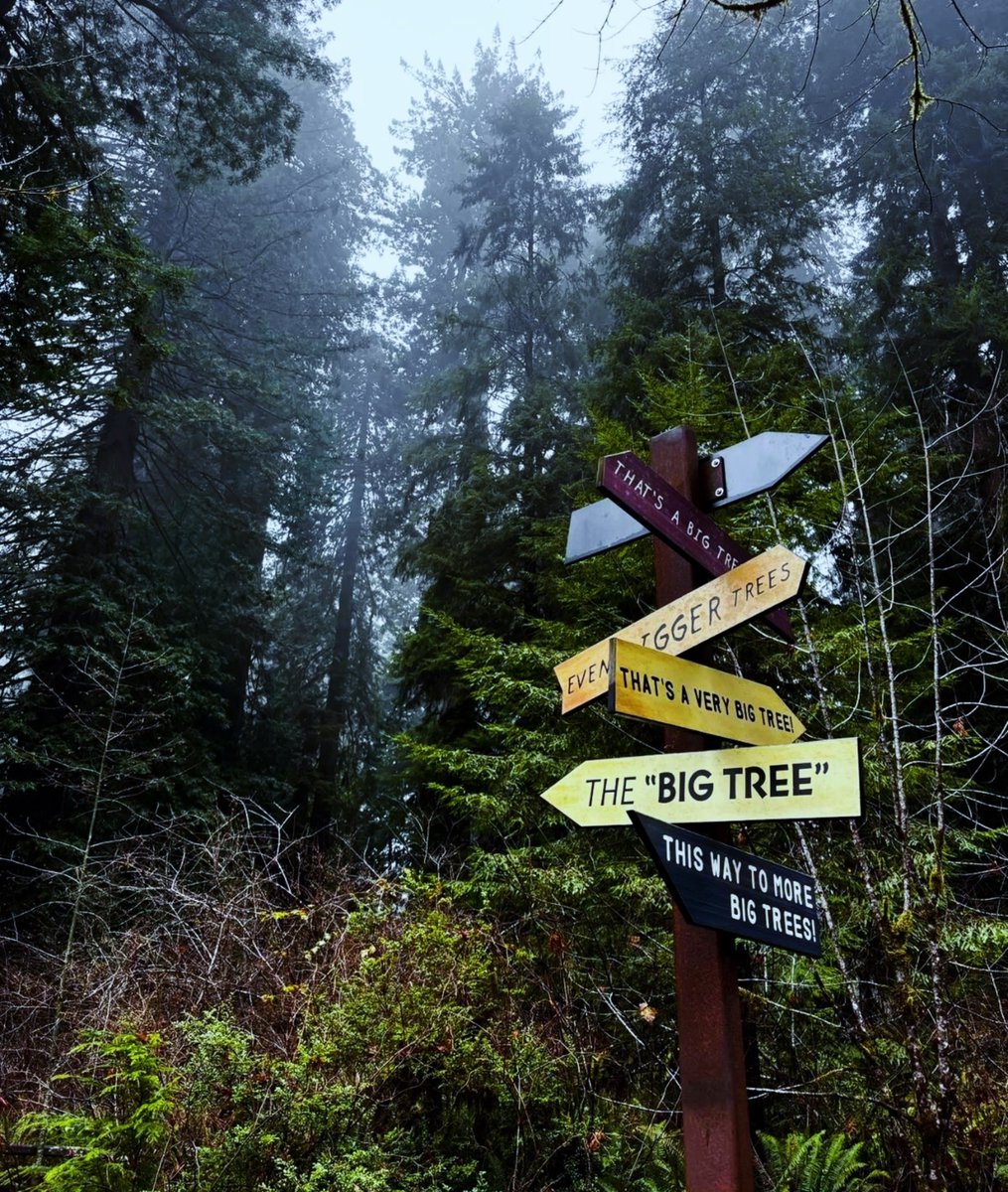 visualsofearth1's tweet photo. Rainy mornings in the Pacific Northwest https://t.co/FgwMTH5PES