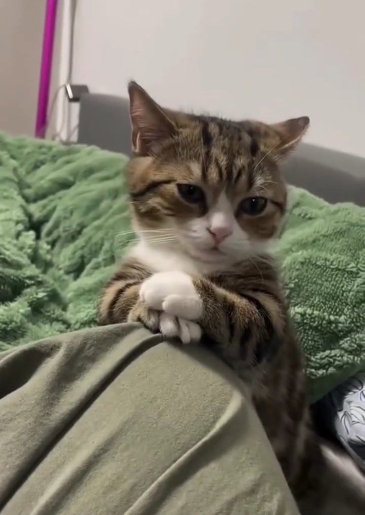 stillwildnature's tweet photo. say hi to her or your August will be messed up https://t.co/GUKcrDD19I