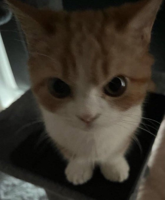 alprdnzzz's tweet photo. Konu inatlaşma olunca bizim kararlılık https://t.co/S3KADjJmWh