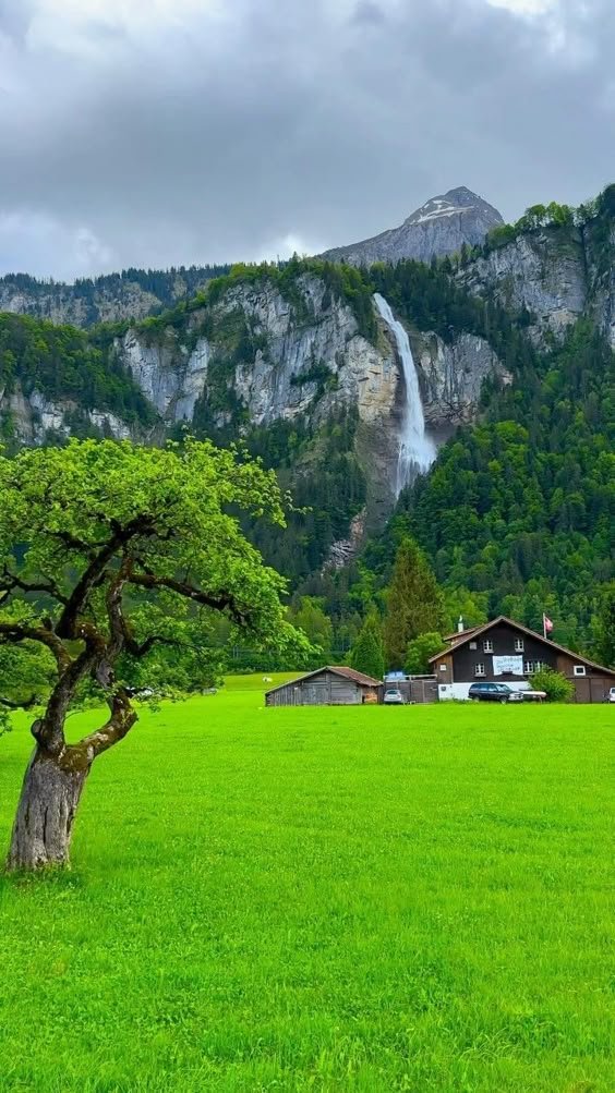 Nature With Vikash tweet media