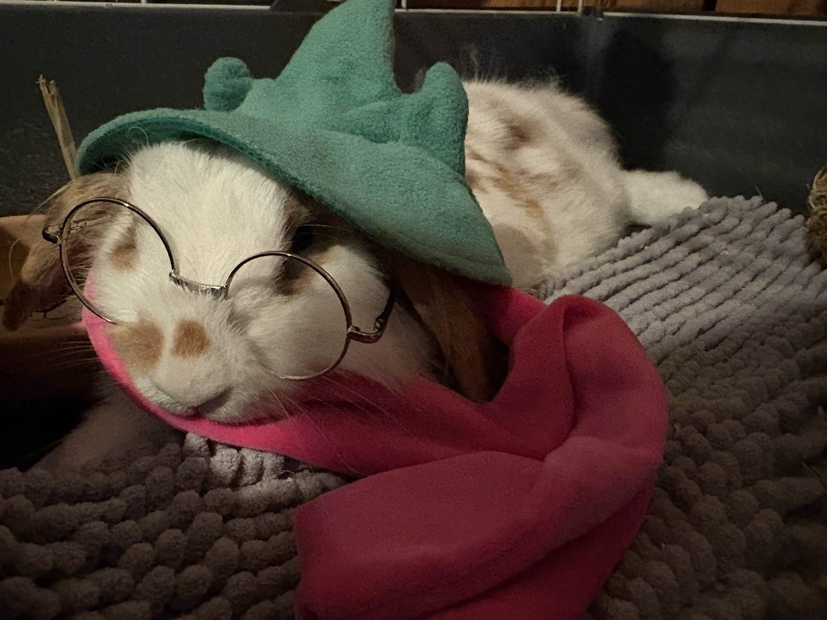 cukymasu_814's tweet photo. My bunny as Ralsei hahaha #deltarune https://t.co/1CriFjcqa4