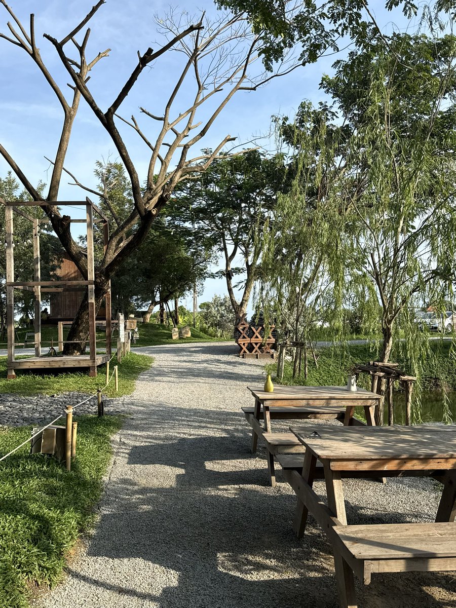 OnnyReview's tweet photo. ใช้คำว่าสวยได้เปลืองมาก layout ร้าน 🦮 https://t.co/1By30QIrSC