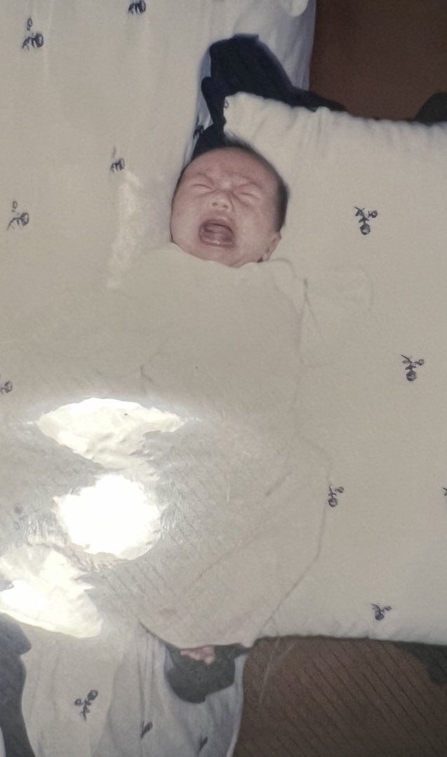 ya_parkwonbin's tweet photo. 티친이닮앗대
#티친공룡화 https://t.co/yLlDrWqtiw