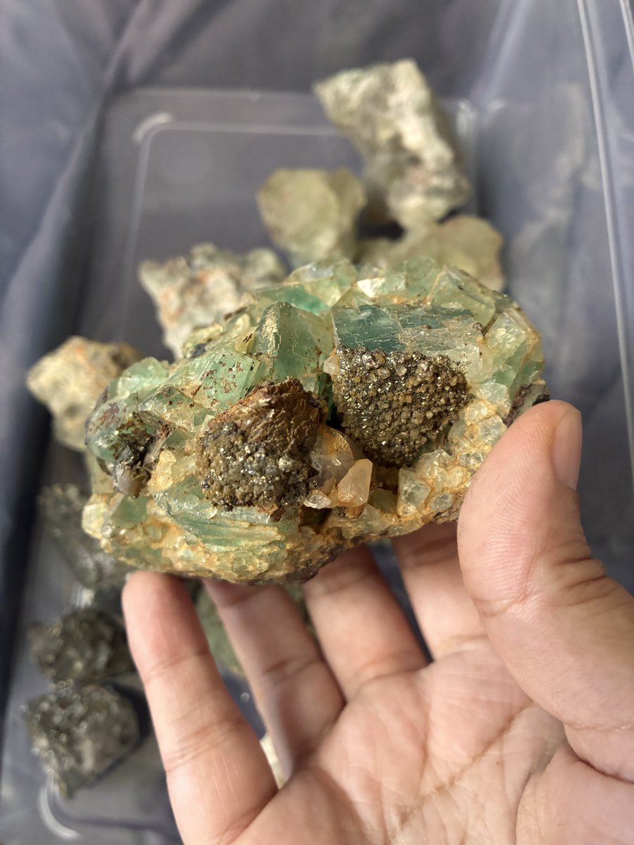 SevenGemsShop's tweet photo. reorganizing these green moroccan fluorites https://t.co/9TCSwgkD7J