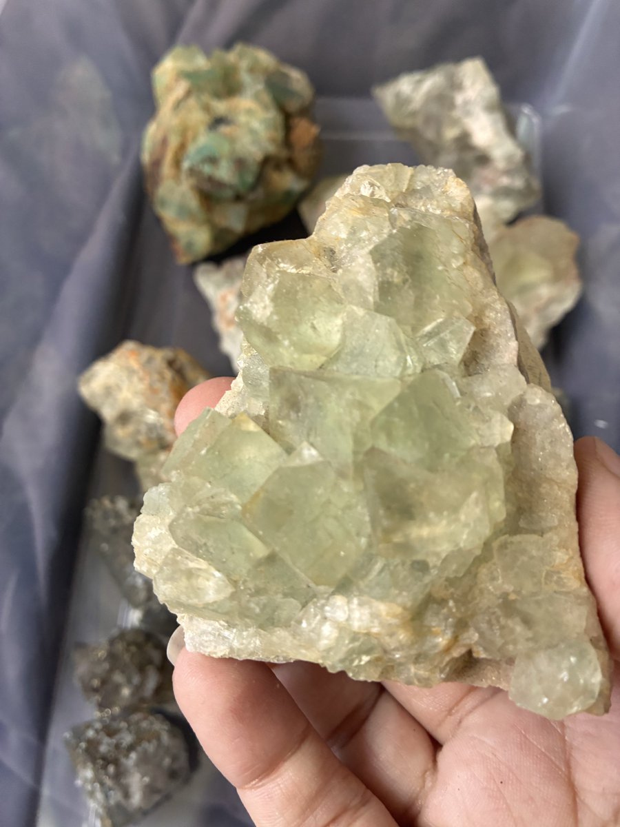 SevenGemsShop's tweet photo. reorganizing these green moroccan fluorites https://t.co/9TCSwgkD7J
