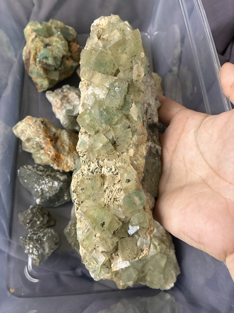 SevenGemsShop's tweet photo. reorganizing these green moroccan fluorites https://t.co/9TCSwgkD7J