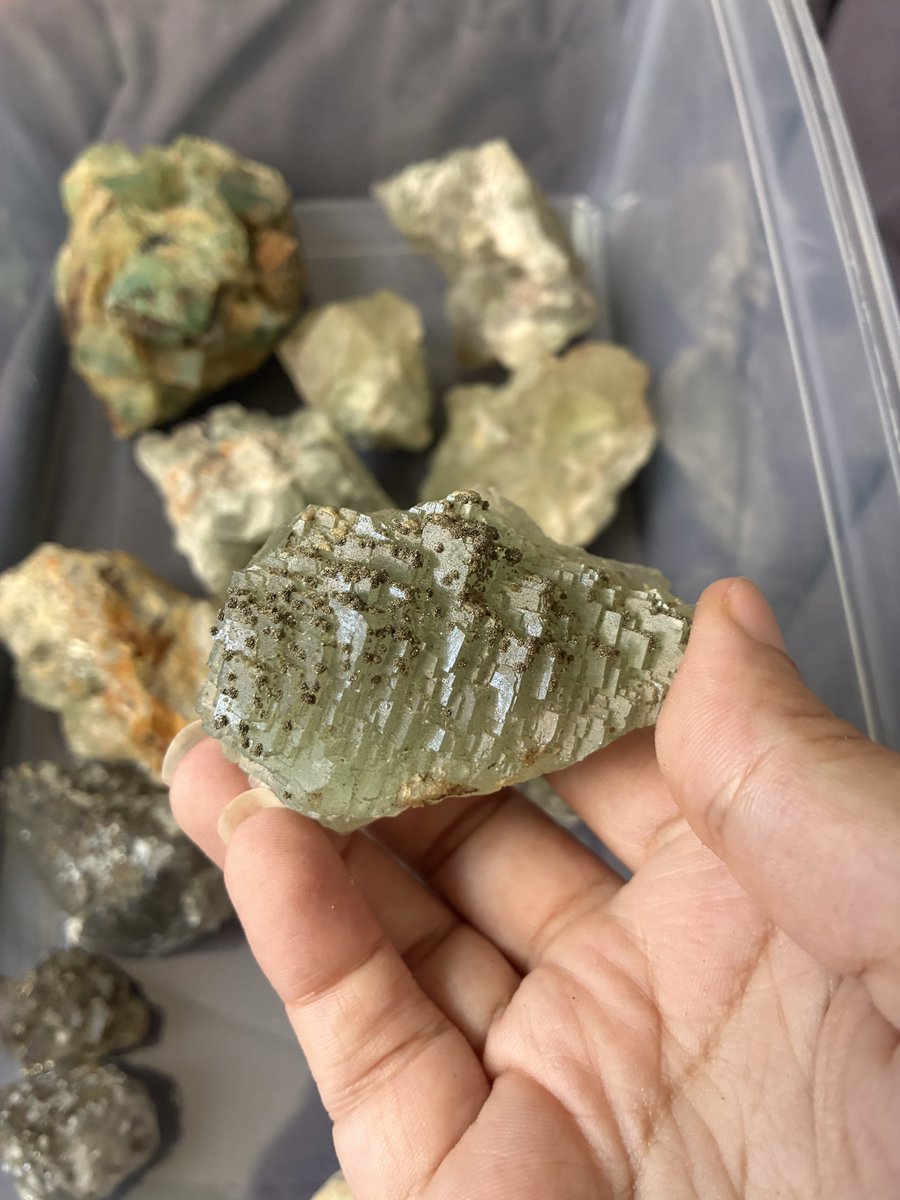 SevenGemsShop's tweet photo. reorganizing these green moroccan fluorites https://t.co/9TCSwgkD7J