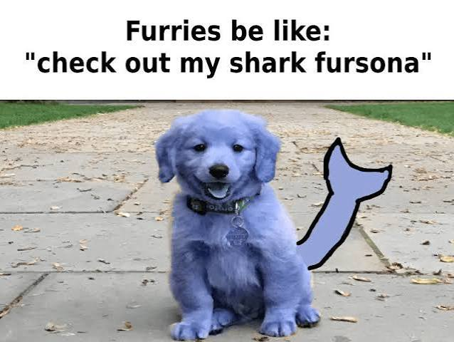PizzaWithFries6's tweet photo. @wonder3mporium Not the dogwashing 😭 https://t.co/gPFlpa0i47