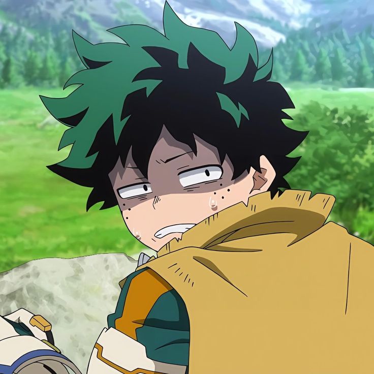 Mr_grovyle's tweet photo. dejenme decirles que si son de los que dicen que shoto tiene 2 quirks haz perdido todo derecho a opinar sobre cualquier cosa sobre BNHA por que las únicas formas de tener mas de 1 quirk es mediante el OFA y el AFO y sus relacionados si nunca en tu vida te encontraste con AFO o + https://t.co/kwiGNBtOVB