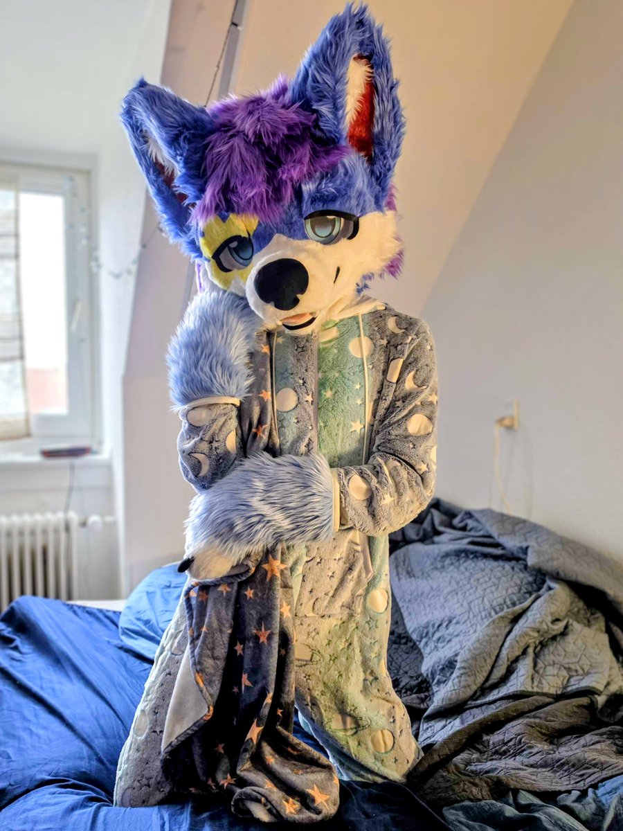 ToastMcGhost99's tweet photo. Im soo eepy, Goodnight chat :3

#furryㅤㅤㅤ

📸@_ItsKait https://t.co/zz9D53u464