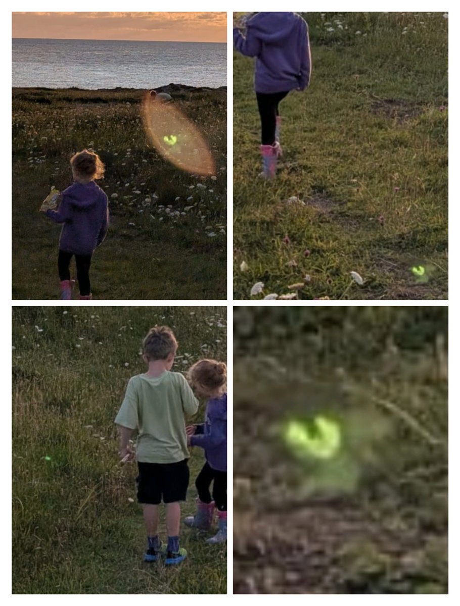 Tree_Folklore's tweet photo. Where we visited by a fairy?

I believe in them already but if be interested to know what you think.

We do not get glow worms in Ireland and genuinely there was nothing there to see at the time.

Mag Mell (The Plain of Honey) is one of the gateways to the Celtic Otherworld and opens up when the setting sun shimmers on the sea. There was also a rainbow at the time 🌈 

Our visitor was recorded on three different cameras (mine, my wife's and daughters) and all photos were taken between 21:02 to 21:07.

It seems to appear from the direction of the sea at 21:02 )I was trying to photograph the sunset) and then appears to hang around my kids for a few minutes.

Tell me what you think.

Clockwise from bottom left our visitor arrives.

Then seen near my oldest.

And then hanging around my youngest two. I have always said that my younger son is pure enough to get into The Otherworld.
