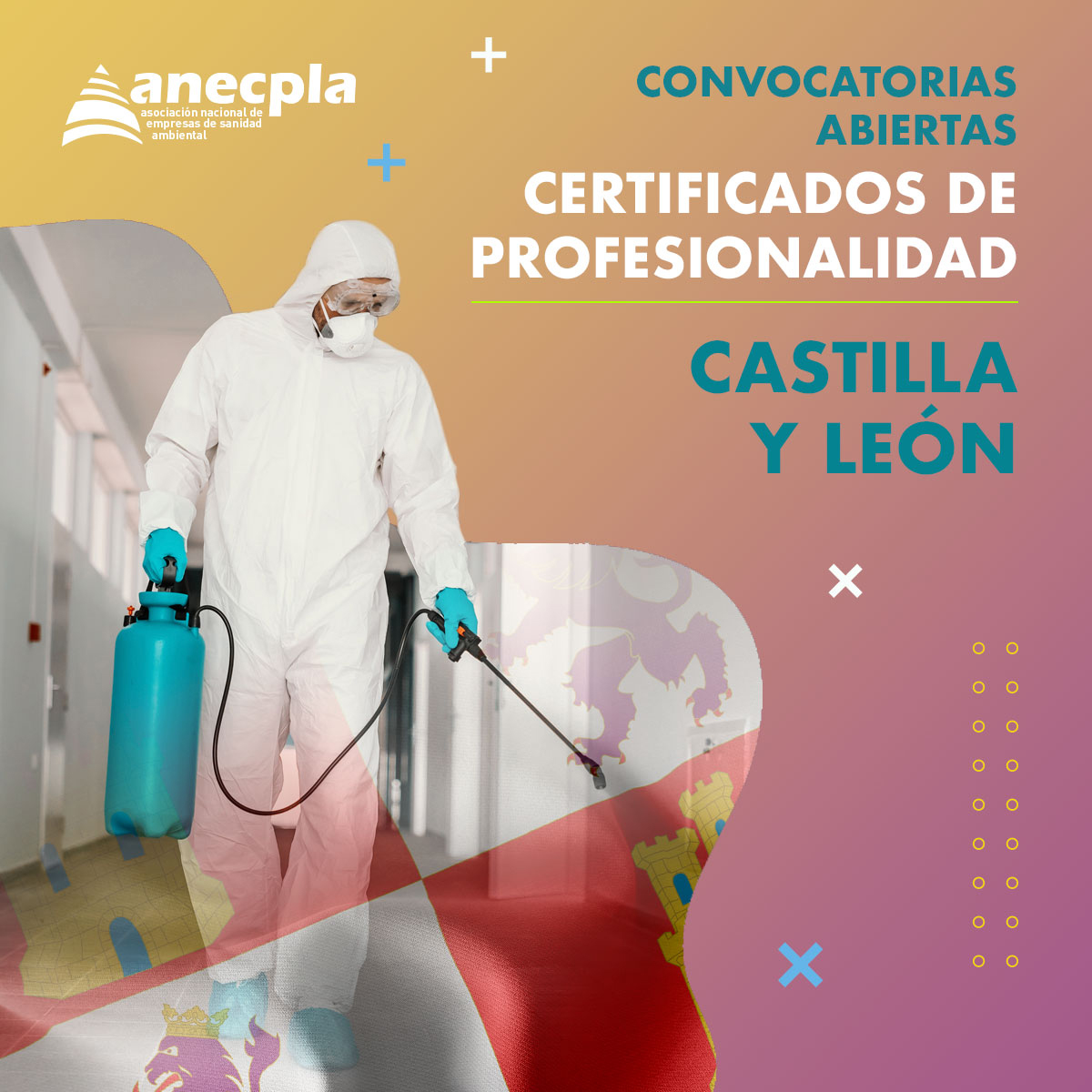 anecpla's tweet photo. 📃 Convocatorias abiertas de los procedimientos de evaluación y acreditación de competencias profesionales en Castilla y León:

N2: Técnico Aplicador de Biocidas
N3: Responsable Técnico (Biocidas y Legionella)
LG: Técnico tratamientos Legionella

🔗 Enlace con toda la información: https://t.co/8uuNTpIs19

#certificadoprofesionalidad #sanidadambiental #castillayleón