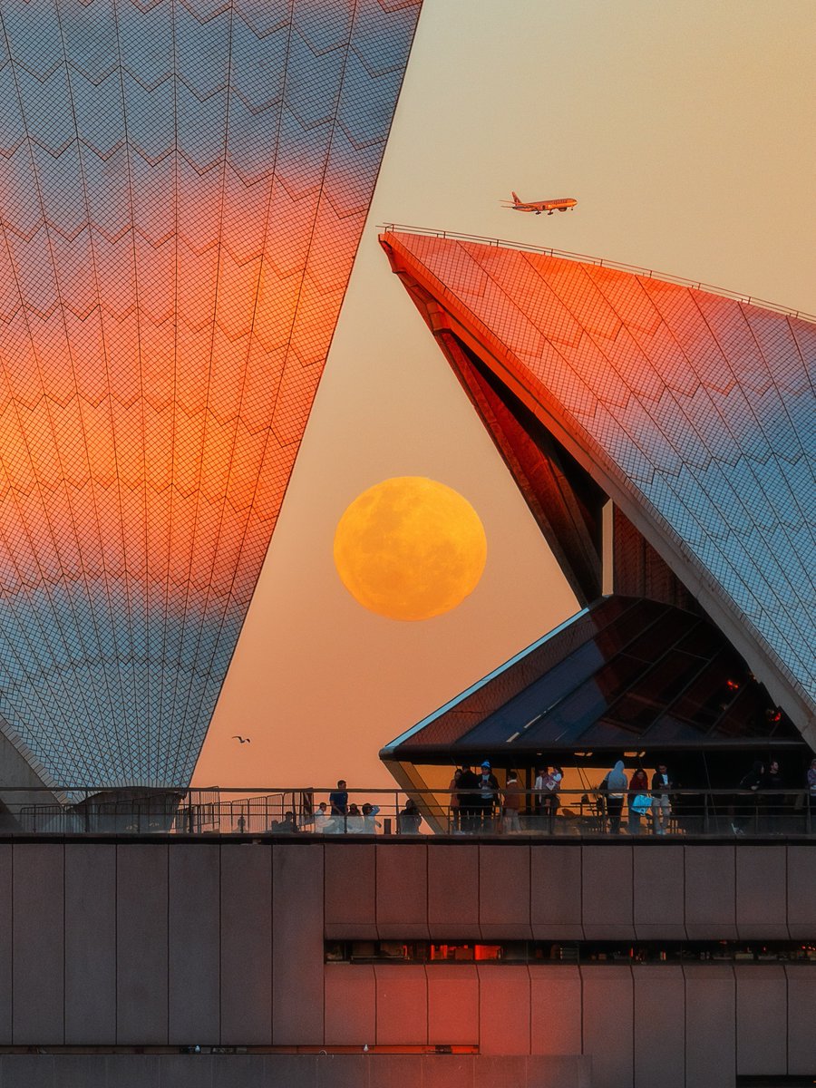 cozyycabin's tweet photo. Sydney, Australia https://t.co/NjUS3zg6CX