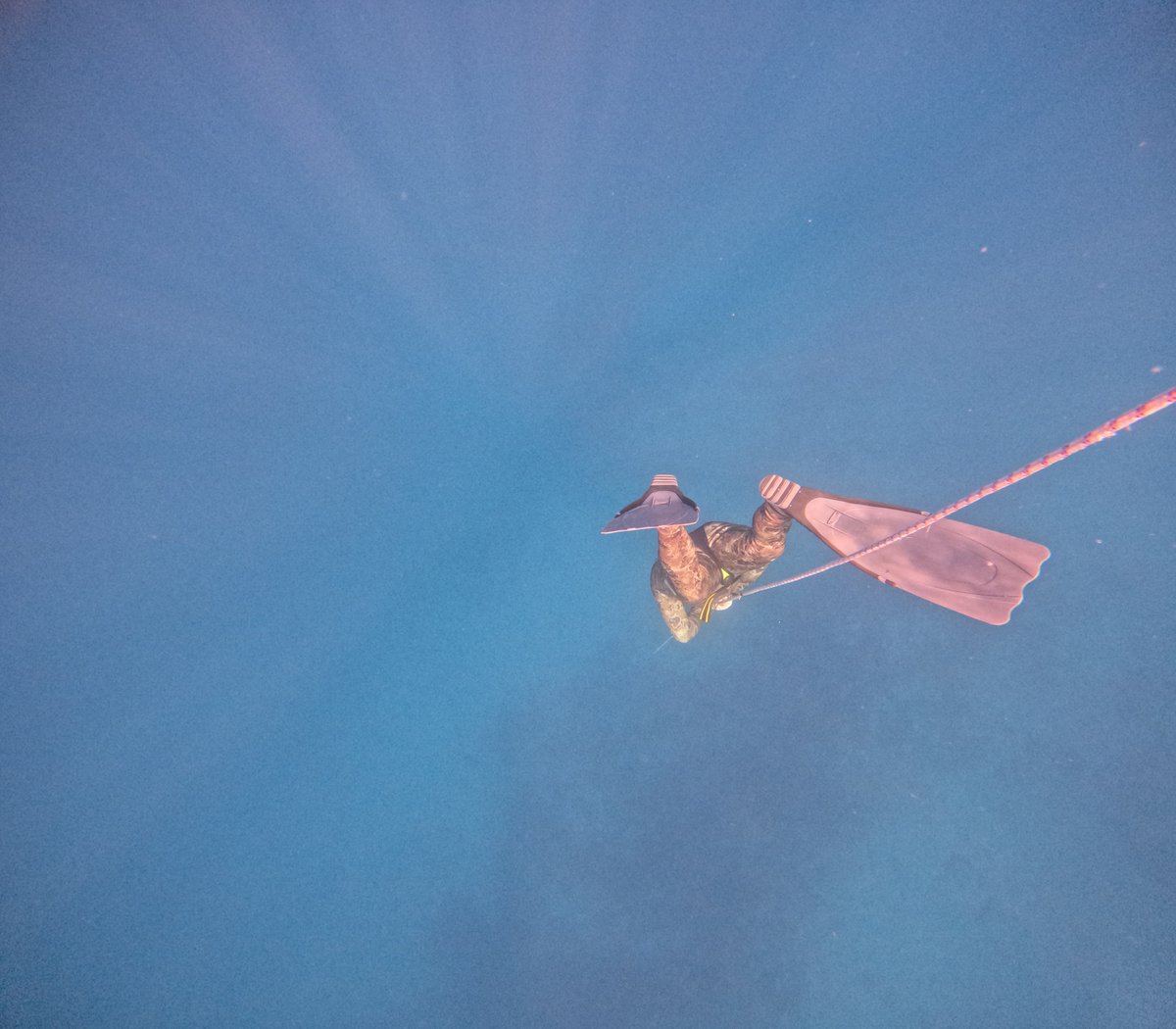 Freedive_Lamia's tweet photo. https://t.co/mykfMR4sG7 https://t.co/if2Xncnb2W