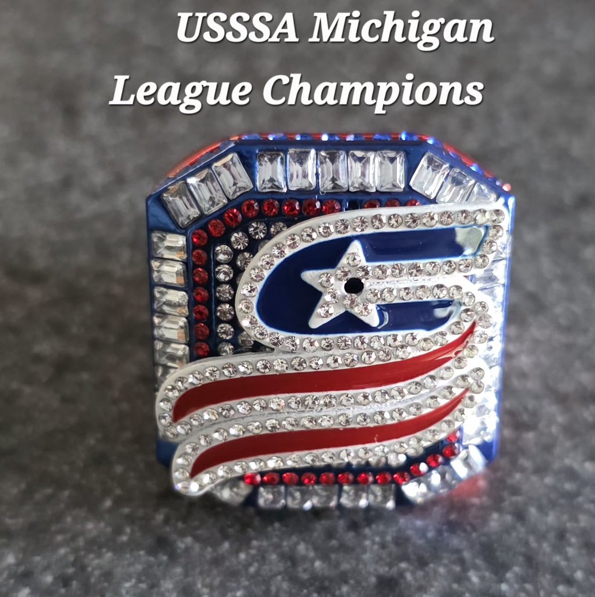 AriHudson01's tweet photo. Champions of the USSSA Michigan High School League 🏆 https://t.co/AvLiDd54Uz
