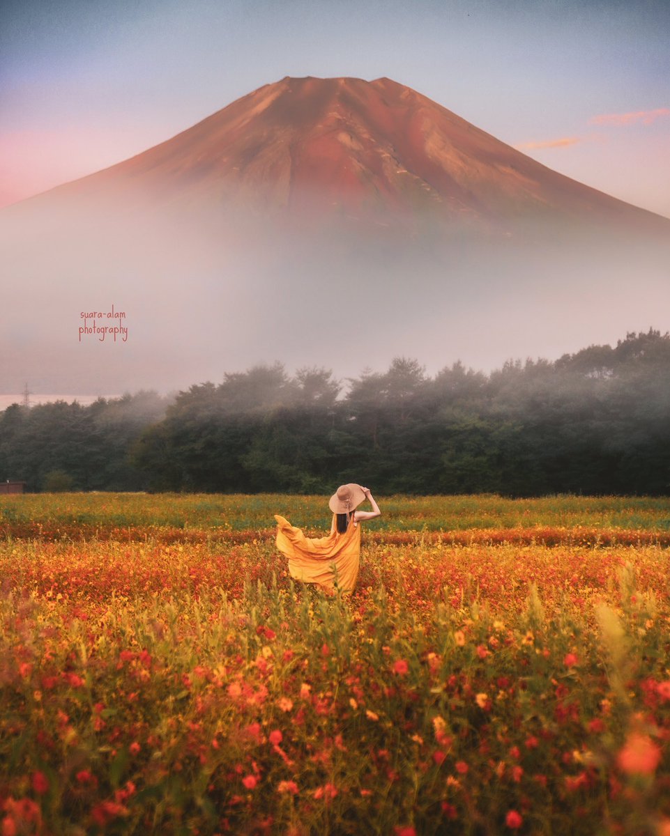 tokyocamerajp's tweet photo. 【東京カメラ部2026写真展 in Hikarie 出展者作品紹介！】

今年で14回目を迎える写真好きの祭典
https://t.co/PGTs4D5oIH

📅9/19(土)～22(火・祝)
📍渋谷ヒカリエ9F 
💰入場無料・予約不要

Photo by suara_alam
https://t.co/P2nLszPF7w
※本作品が展示されるかは未定です https://t.co/FxpxWotDVc