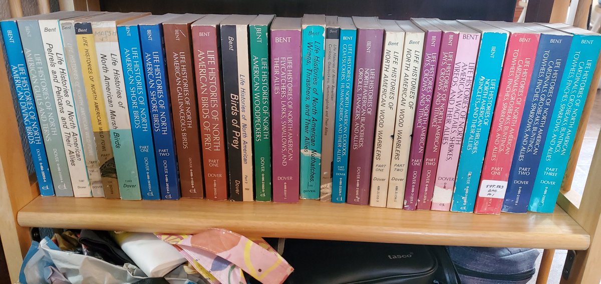 HopkinsEnjoyer's tweet photo. The collection is complete! https://t.co/MoGrStqg2m