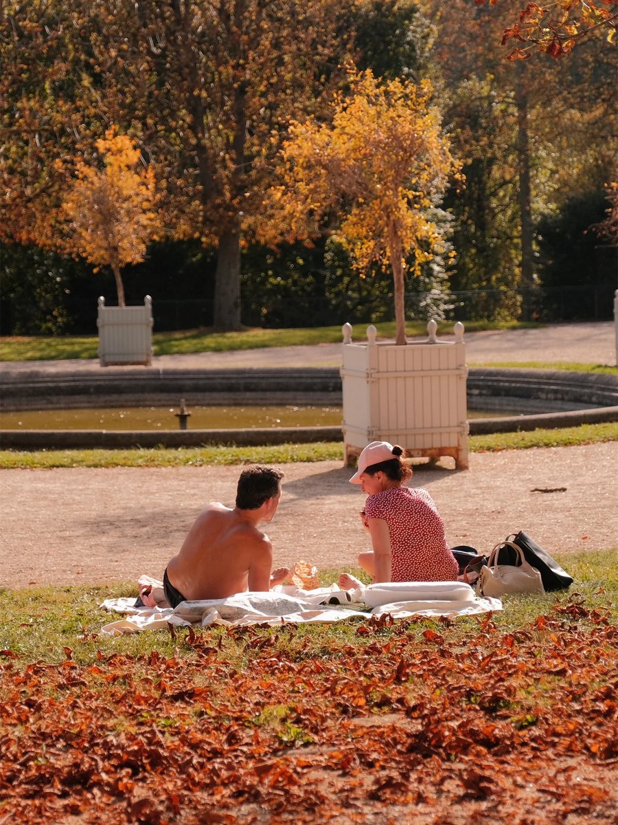 MayfieldMe903's tweet photo. Chilly autumn mornings hit different—sipping hot latte while crunching fallen golden leaves   ， https://t.co/45GSdeyHcS