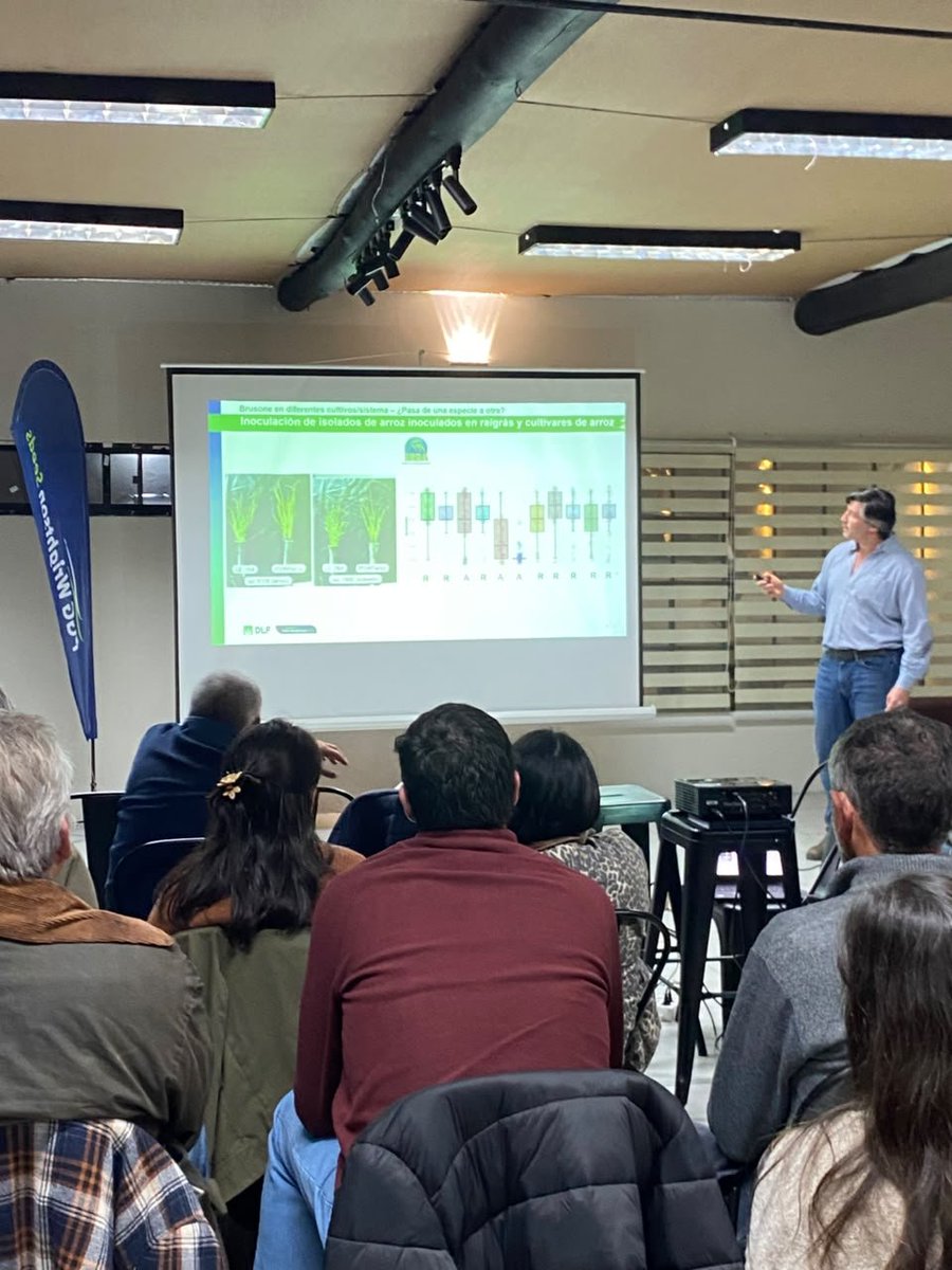 PGGWrightson_UY's tweet photo. En la jornada técnica sobre #Brusone en raigras, @federiconolla presentó qué sabemos hoy sobre esta enfermedad, los resultados del trabajo conjunto con IRGA en Brasil y el trabajo que la empresa viene desarrollando desde hace MÁS DE 10 años en su programa de mejoramiento. Además, compartió la respuesta diferencial observada en Brasil y Uruguay de los materiales seleccionados por resistencia a brusone.