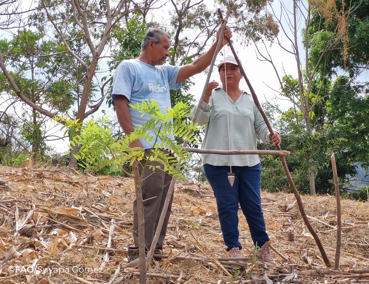 FAOElSalvador's tweet photo. 💪👩‍🌾 Más de 19 mil mujeres formaron parte del proyecto #RECLIMA, liderando la resiliencia climática desde sus comunidades. 
Ahora promueven prácticas sostenibles, restauran ecosistemas y multiplican el cambio. 🌱💦🌳#MujeresRurales 
@theGCF
@FAOclimate
 #AñoDeLaAgricultora https://t.co/5CgFw38hkv