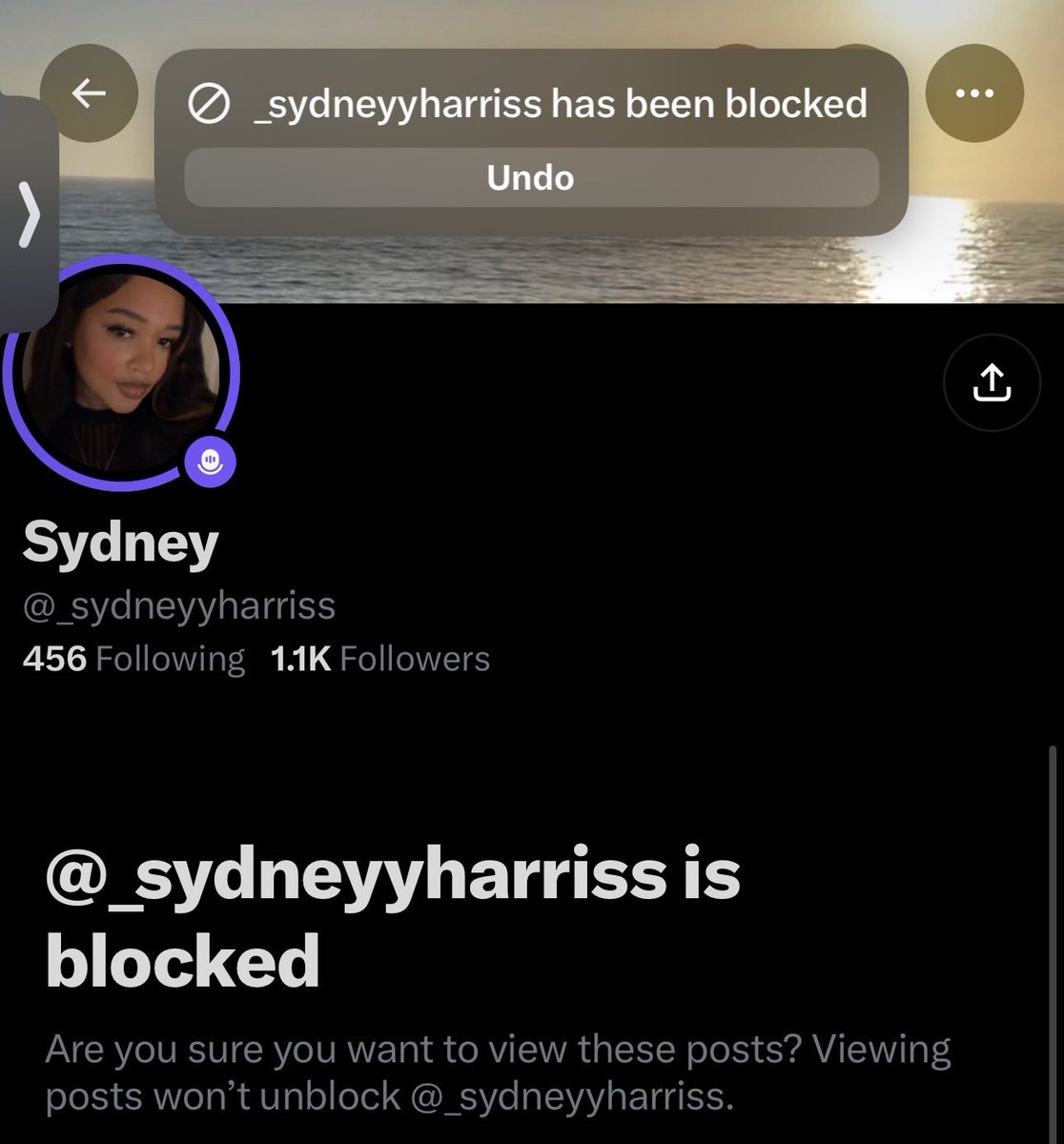BlockedByLebron tweet media