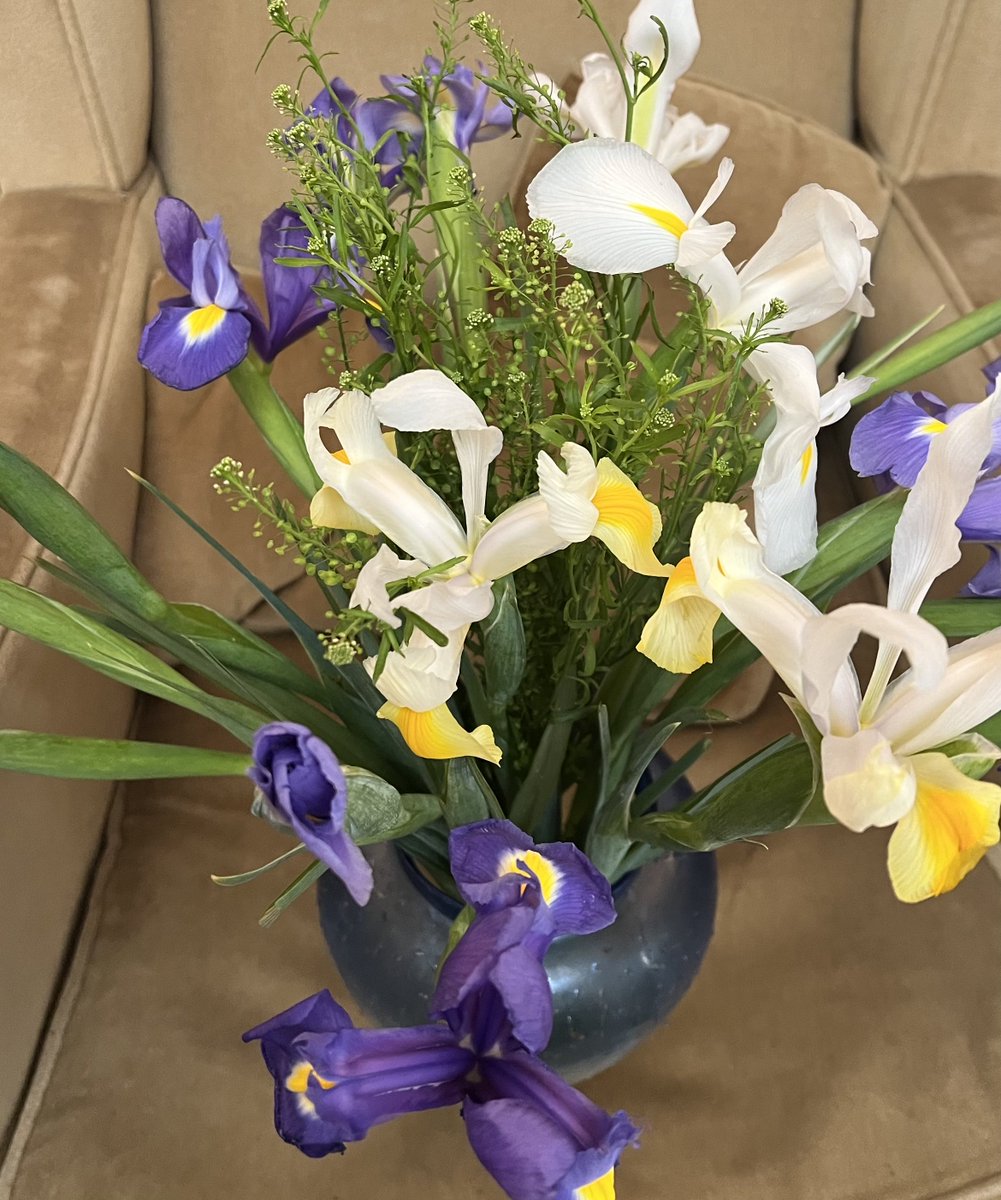 nneggs's tweet photo. Beautiful bouquet of Iris from my son- what a surprise and such a thrill https://t.co/m9gJewUJoa