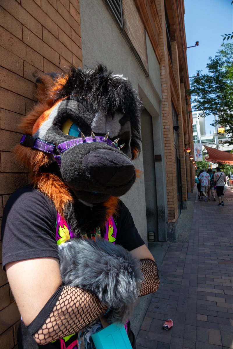 DepacheFoxie's tweet photo. stay cool B3

🌆 #ANTHROCON2026 🌆 
📸: Lander Foxx
🪡 goth_cat_creates

#furryfandom #furry #fursuit https://t.co/MYwV0Hf7IV