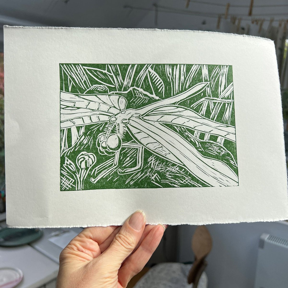 Design_York's tweet photo. Four fabulous linocut prints from Saturday’s beginner's linocut workshop.

#linocut #linoprinting  #printmaking #York #North Yorkshire https://t.co/zIY3vizHPA