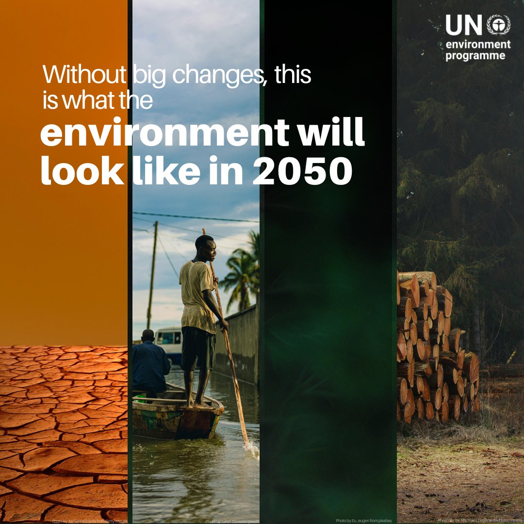 UNEP's tweet photo. Oppressive heat. Species extinctions. Pollution-choked skies.

This will continue and worsen unless humanity takes drastic steps to end a series of mushrooming environmental crises, finds #GEO7.

See more: https://t.co/B4mIvpm8HQ https://t.co/o5gYqXow4K