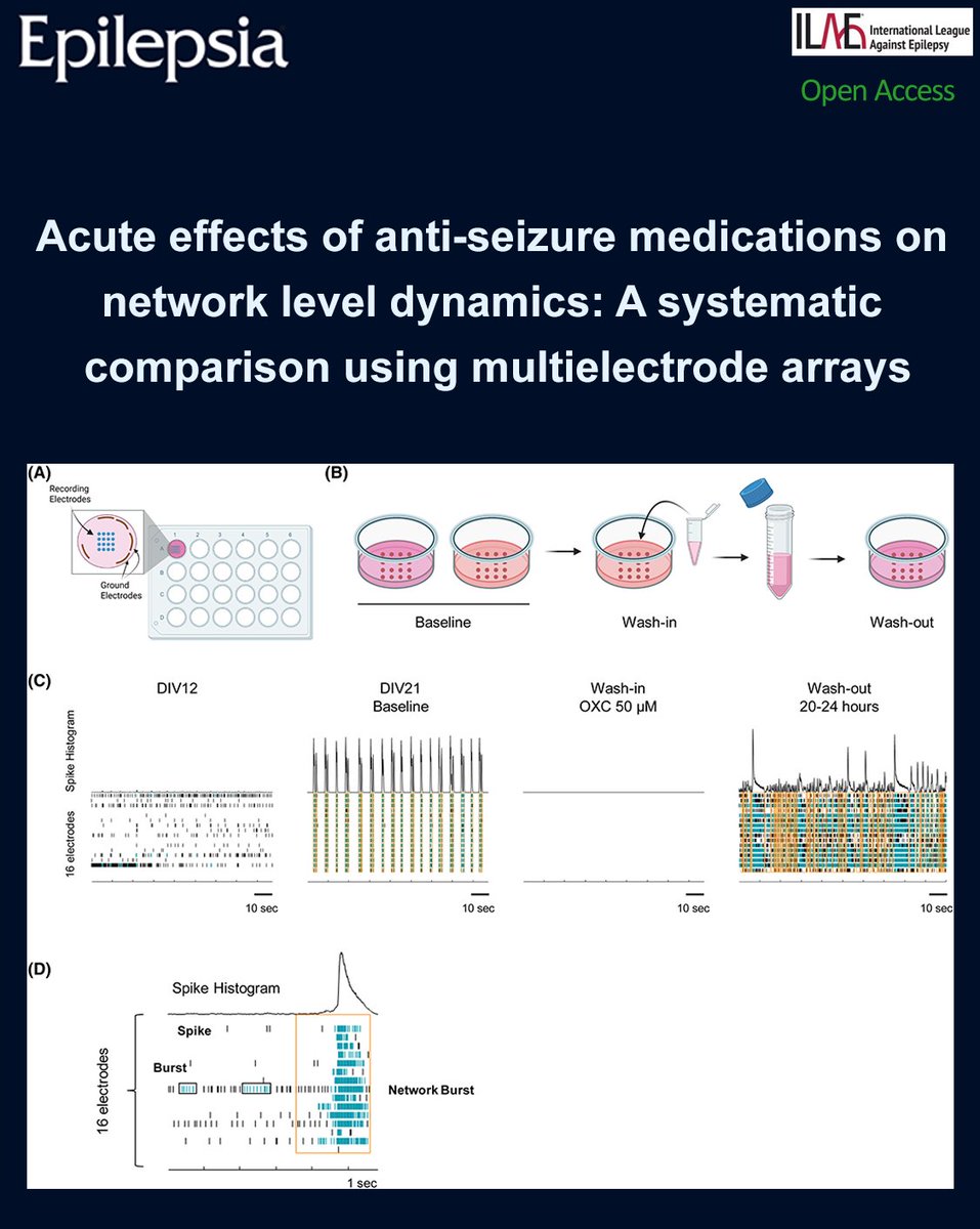 EpilepsiaJourn's tweet photo. We were able to classify the 18 anti-seizure medications (ASMs) into four distinct clusters based on the pharmacological effect profile.
https://t.co/NuofL4Hd6W
#epilepsy #ilae #epilepsia #antiseizuremedication #ASM #multielectrodearray #MEA #neuronalnetwork https://t.co/21aes2KmID